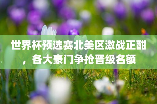 世界杯预选赛北美区激战正酣，各大豪门争抢晋级名额