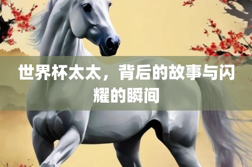 世界杯太太，背后的故事与闪耀的瞬间