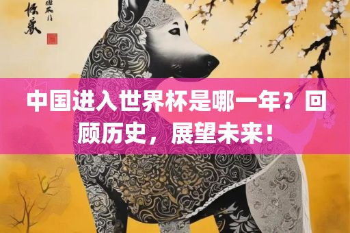 中国进入世界杯是哪一年？回顾历史，展望未来！