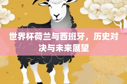 世界杯荷兰与西班牙，历史对决与未来展望