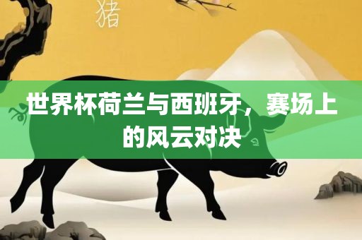 世界杯荷兰与西班牙，赛场上的风云对决