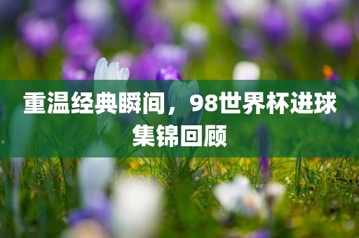 重温经典瞬间，98世界杯进球集锦回顾漯河市盈旭机械设备有限公司