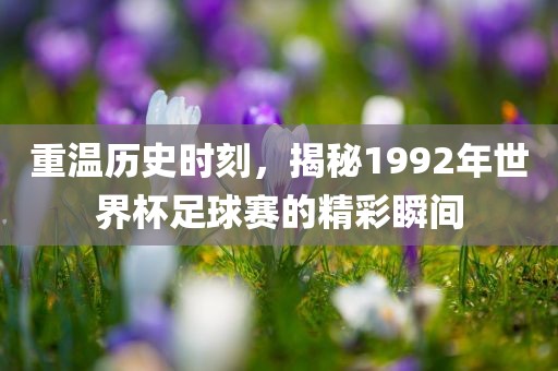重温历史时刻，揭秘1992年世界杯足球赛的精彩瞬间