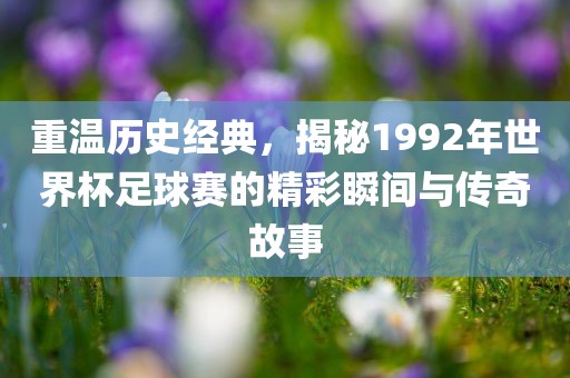 重温历史经典，揭秘1992年世界杯足球赛的精彩瞬间与传奇故事漯河市盈旭机械设备有限公司