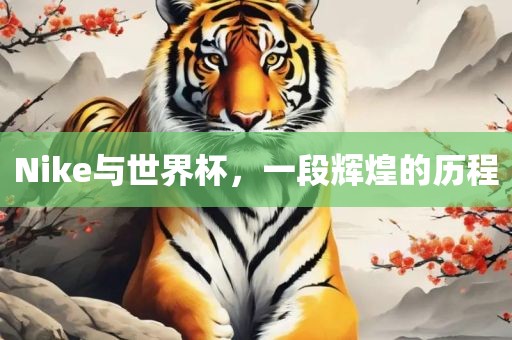 Nike与世界杯，一段辉煌的历程