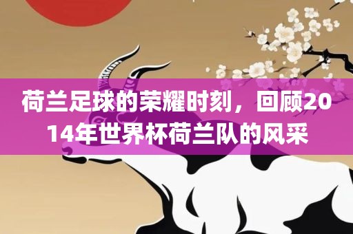 荷兰足球的荣耀时刻，回顾2014年世界杯荷兰队的风采