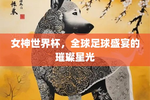 女神世界杯，全球足球盛宴的璀璨星光