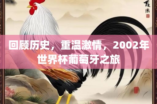 回顾历史，重温激情，2002年世界杯葡萄牙之旅漯河市盈旭机械设备有限公司