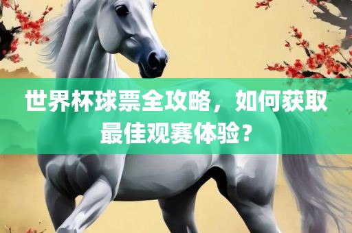 世界杯球票全攻略，如何获取最佳观赛体验？