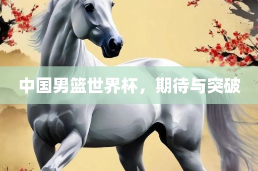 中国男篮世界杯，期待与突破