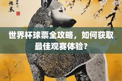 世界杯球票全攻略漯河市盈旭机械设备有限公司，如何获取最佳观赛体验？