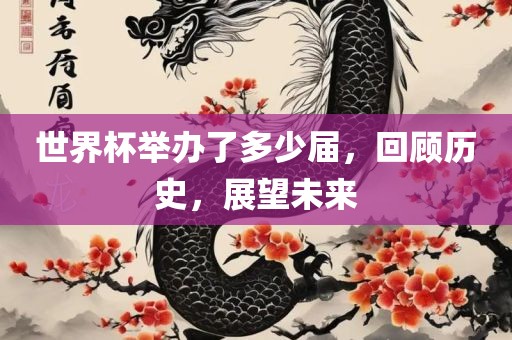 世界杯举办了多少届，回顾历史，展望未来