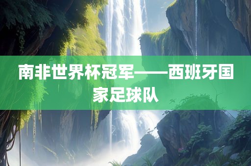 南非世界杯冠军——西班牙国家足球队