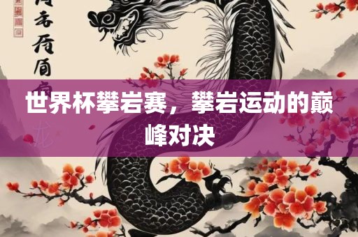 世界杯攀岩赛，攀岩运动的巅峰对决漯河市盈旭机械设备有限公司