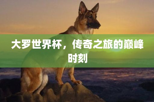 大罗世界杯，传奇之旅的巅峰时刻漯河市盈旭机械设备有限公司