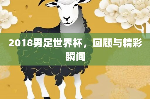 2018男足世界杯，回顾与精彩瞬间