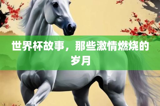 世界杯故事，那些激情燃烧的岁月