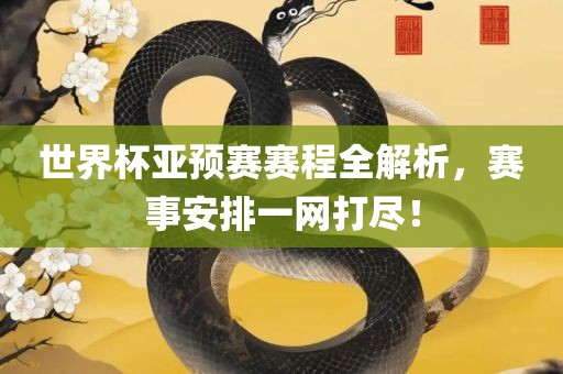 世界杯亚预赛赛程全解析，赛事安排一网打尽！