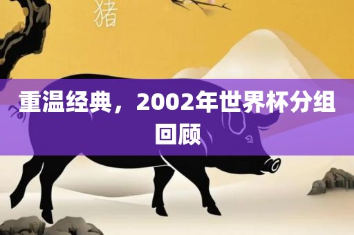 重温经典，2002年世界杯分组回顾