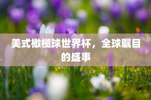 美式橄榄球世界杯，全球瞩目的盛事