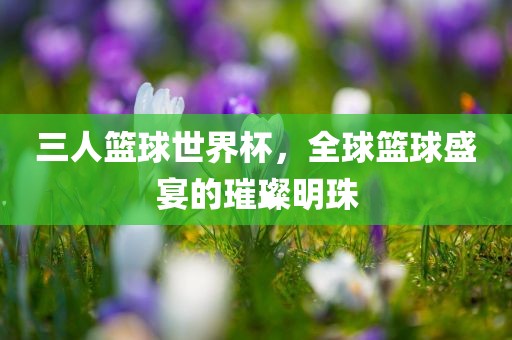 三人篮球世界杯，全球篮球盛宴的璀璨明珠