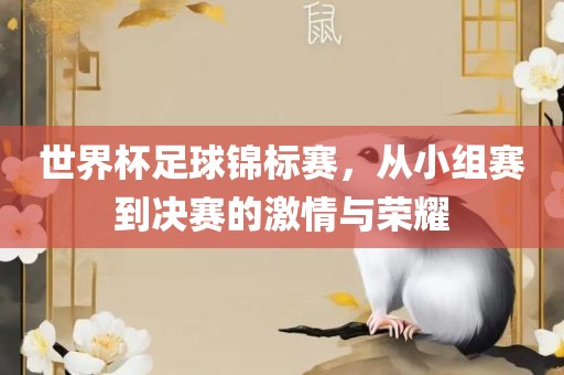 世界杯足球锦标赛，从小组赛到决赛的激情与荣耀