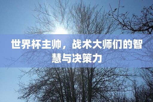 世界杯主帅，战术大师们的智慧与决策力