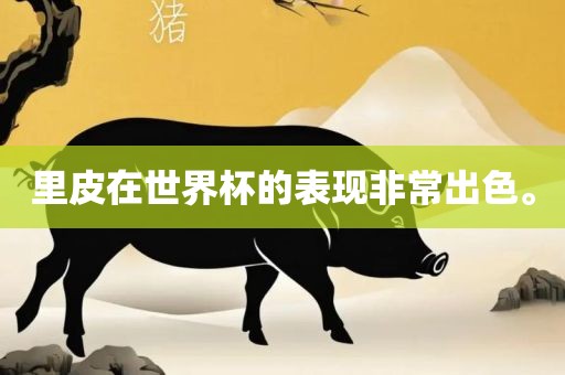 里皮在世界杯的表现非常出色。