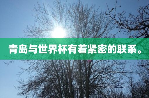 青岛与世界杯有着紧漯河市盈旭机械设备有限公司密的联系。