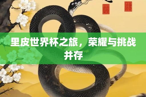 里皮世界杯之旅，荣耀与挑战并存