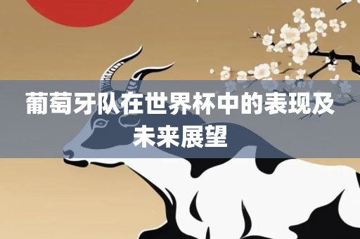 葡萄牙队在世界杯中的表现及未来展望