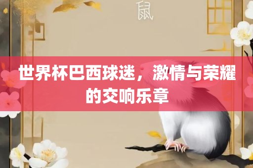 世界杯巴西球迷，激情与荣耀的交响乐章