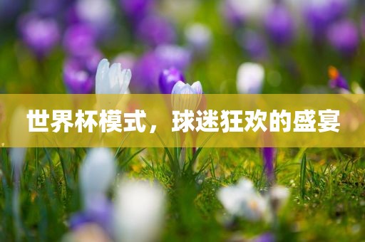 世界杯模式，球迷狂欢的盛宴