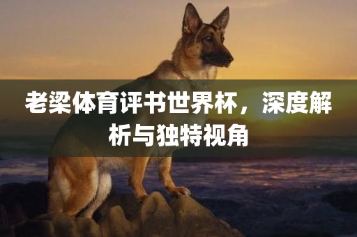 老梁体育评书世界杯，深度解析与独特视角
