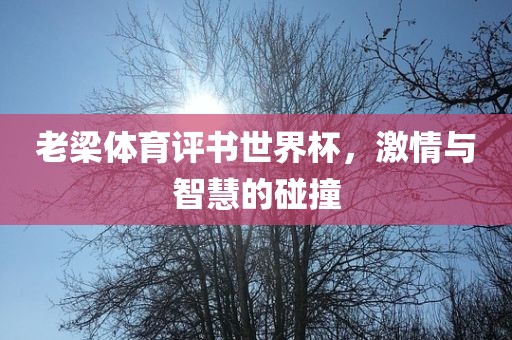 老梁体育评书世界杯，激情与智慧的碰撞