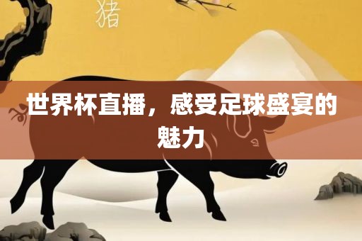 世界杯直播，感受足球盛宴的魅力