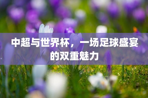 中超与世界杯，一场足球盛宴的双重魅力