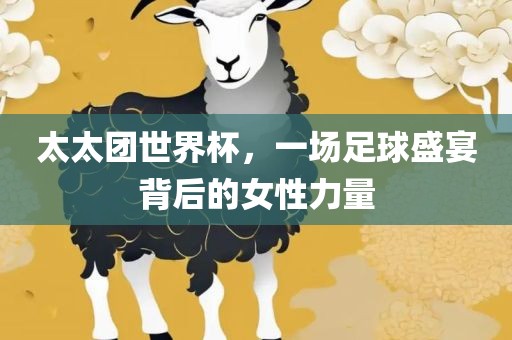 太太团世界杯，一场足球盛宴背后的女性力量