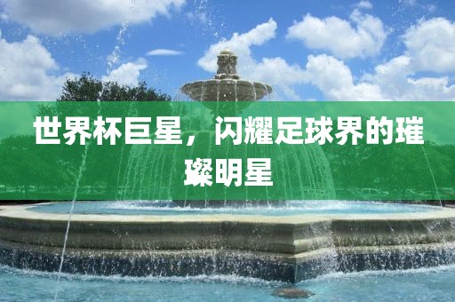 世界杯巨星，闪耀足球界的璀璨明星漯河市盈旭机械设备有限公司