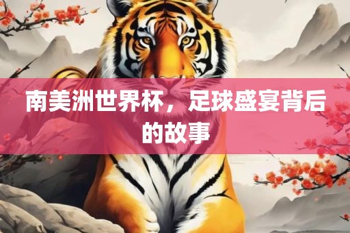 南美洲世界杯，足球盛宴背后的故事