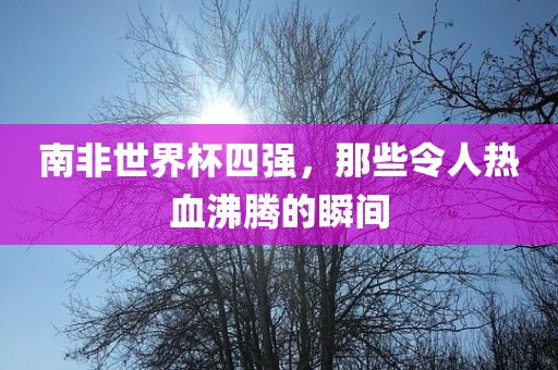 南非世界杯四强，那些令人热血沸腾的瞬间漯河市盈旭机械设备有限公司