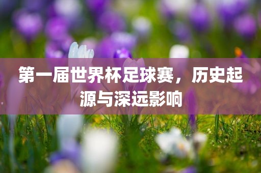 第一届世界杯足球赛，历史起源与深远影响