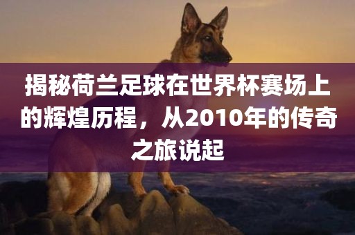 揭秘荷兰足球在世界杯赛场上的辉煌历程，从2010年的传奇之旅说起