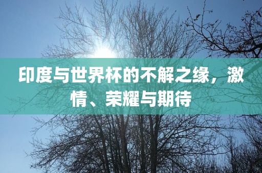印度与世界杯的不解之缘，激情、荣耀与期待