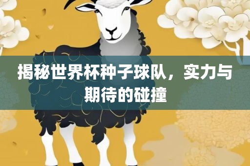 揭秘世界杯种子球队，实力与期待的碰撞