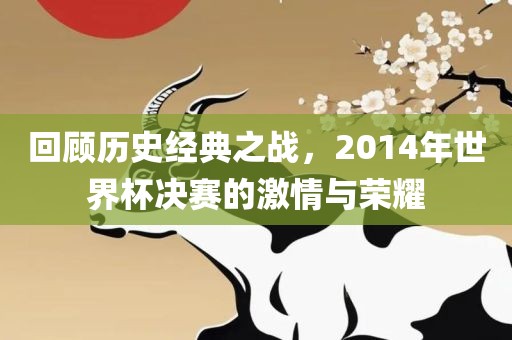 回顾历史经典之战，2014年世界杯决赛的激情与荣耀