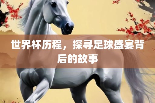 世界杯历程，探寻足球盛宴背后的故事