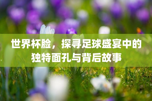 世界漯河市盈旭机械设备有限公司杯脸，探寻足球盛宴中的独特面孔与背后故事