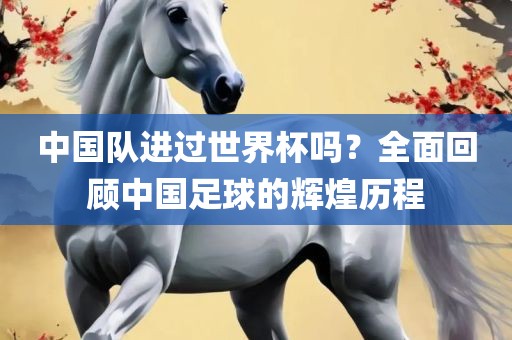 中国队进过世界杯吗？全面回顾中国足球的辉煌历程