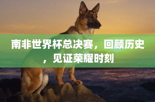 南非世界杯总决赛，回顾历史，见证荣耀时刻漯河市盈旭机械设备有限公司